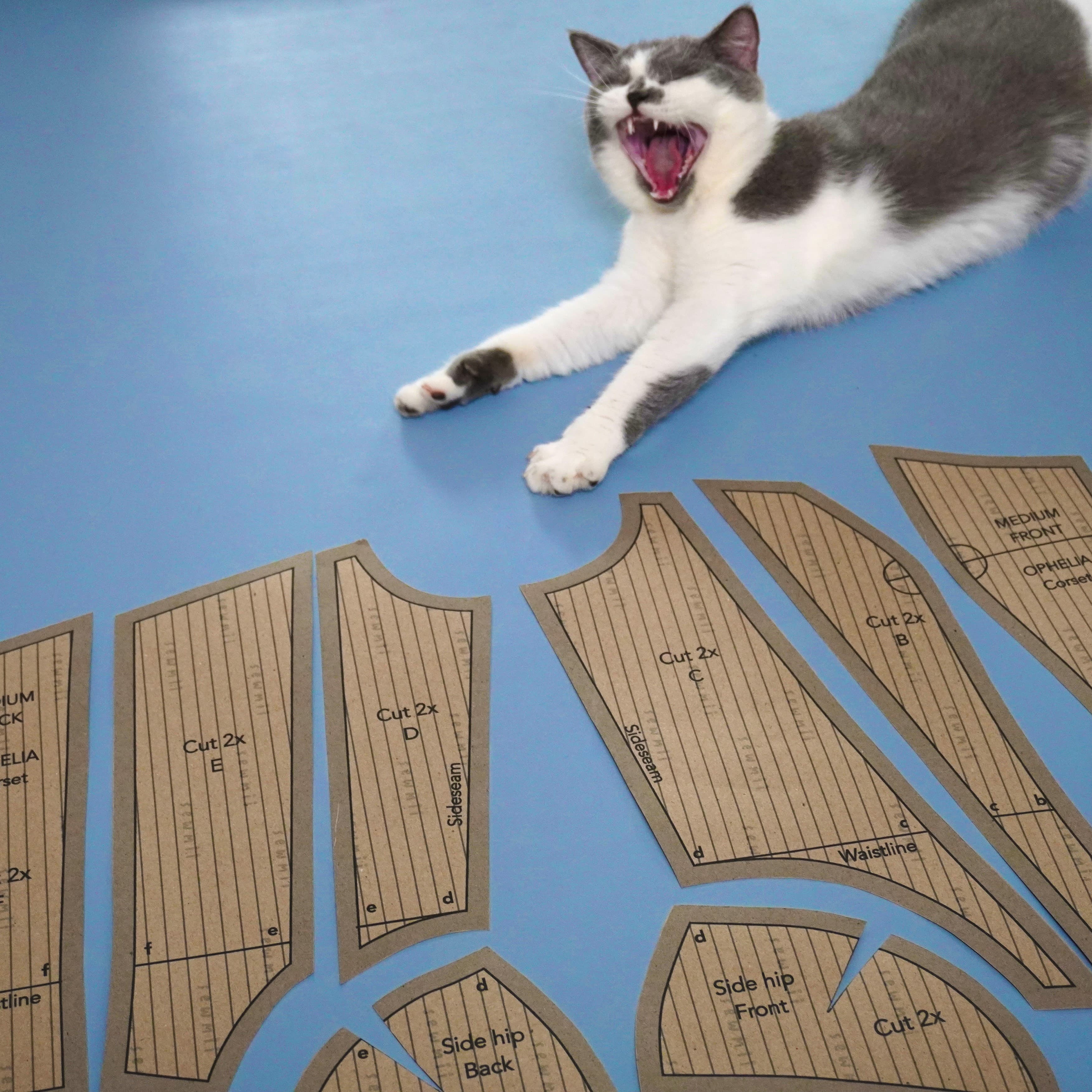 Ophelia Corset Pattern Image with Bella